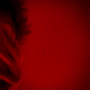 WASTED (Explicit)