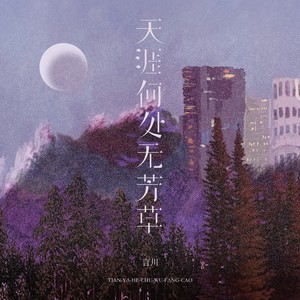 天涯何处无芳草 (伴奏)