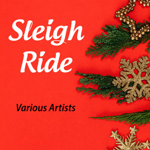 Sleigh Ride