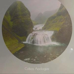 Cobos Apologize