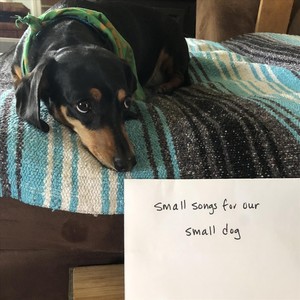 Small Songs for Our Small Dog