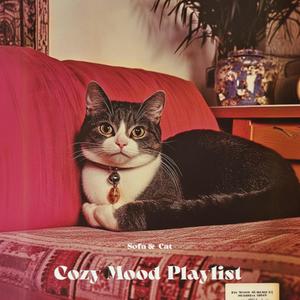 Cozy Mood Playlist #5 | Sofa & Cat 소파와 고양이 셋