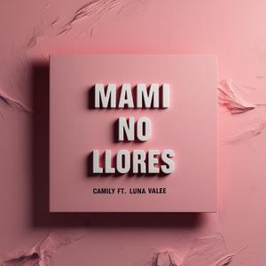 Mami no llores (feat. Luna Valee & EL VARÓN PRODUCE)
