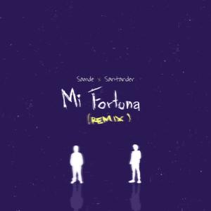 Mi Fortuna (Remix)