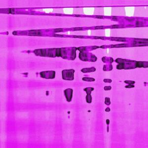 RUNITUP! freestyle (Explicit)