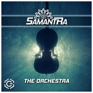 The Orchestra