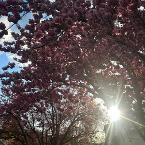 Arise, My Soul Arise