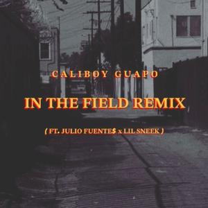 In The Field (feat. CaliboyGuapo & Lil Sneek) [Remiix] [Explicit]