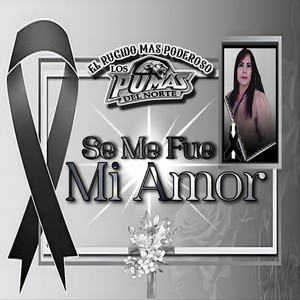 Se Me Fue Mi Amor (En Vivo)
