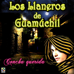 Los Llaneros De Guamuchil - Mayul El