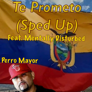 Te Prometo (Sped Up)