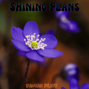 Shining Plans