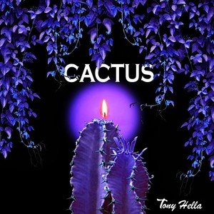 Cactus (Explicit)