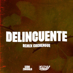 Delincuente (Remix)