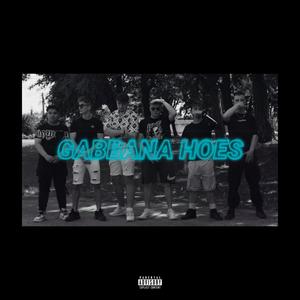 GABBANA HOES (feat. Jerzso, Vm4rciix, Braun, SANYAB & ZSEEGA) [Explicit]