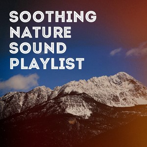 Sounds from a Field: Grasshoppers, Crows and Insects