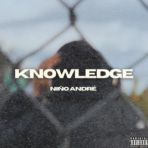 Knowledge (Explicit)