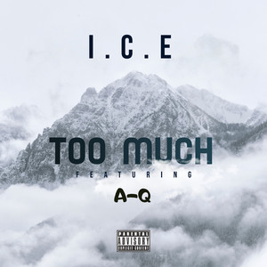 Too Much I.C.E (Explicit)