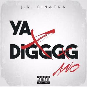 Yadigggg (feat. J.R. Sinatra) [Explicit]