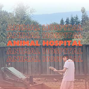 Animal Hospital