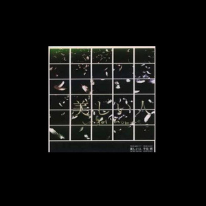 美しい人 (美丽的人)