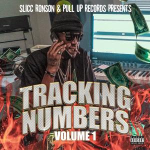 Tracking Numbers, Vol. 1 (Explicit)