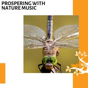 Beautiful Birds Noise