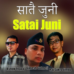 Satai juni