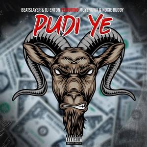 Pudi (feat. Dj Enton, Noxiebuddy & Muyengwa) [Explicit]