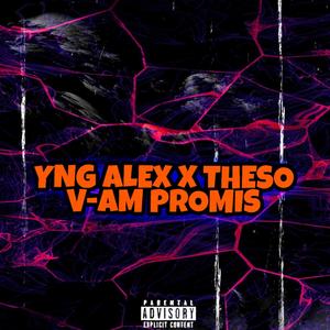 V-am promis (feat. Theso)