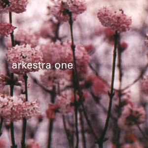 Arkestra One