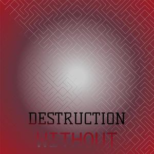 Destruction Without