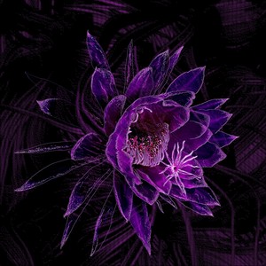 Resiliencia (feat. Ike Parodi)