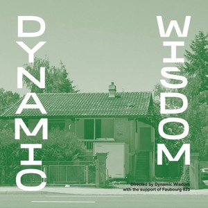 Dynamic Wisdom (Explicit)