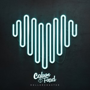 Rollercoaster (Charlie Lane Remix)