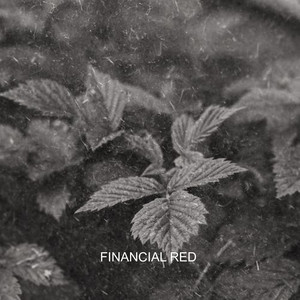 financial red