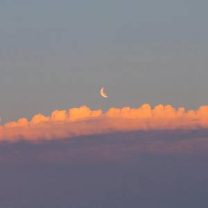 九九八十一 (柔情版)