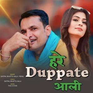 Haare Duppate Aali (feat. ritu kaushik)
