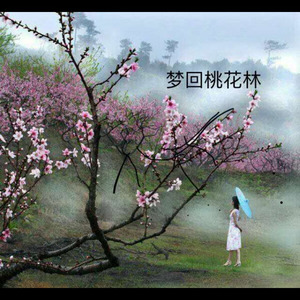 梦回桃花林 (伴奏)
