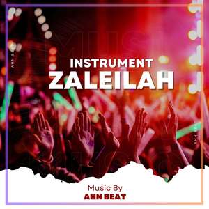 INSTRUMENT - DJ ZALEILAH