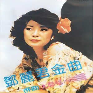 千言万语/忘记他/小城故事/恰似你的温柔/使爱情更美丽/青色的回忆封面