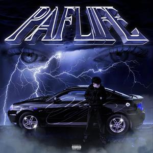 CAMOUFLAGE (Explicit)