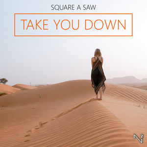 Take You Down