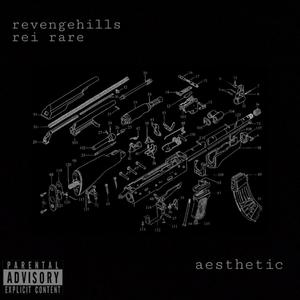 Aesthetic (Explicit)