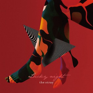 Lucky night (Feat. Reddy)