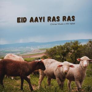 Eid Aayi Ras Ras (feat. Mir Iqbal)