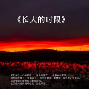 你期许的温柔 (严李娅女生版)