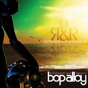 The R & R (Remixes & Revisions) [Explicit]