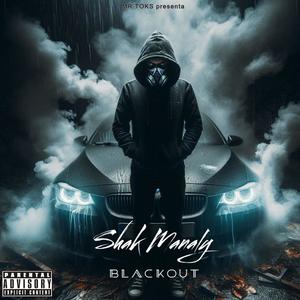 **** The Haters (Mr Toks Remix|Explicit)