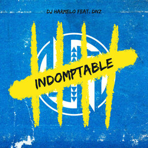 Indomptable (feat. Dnz)